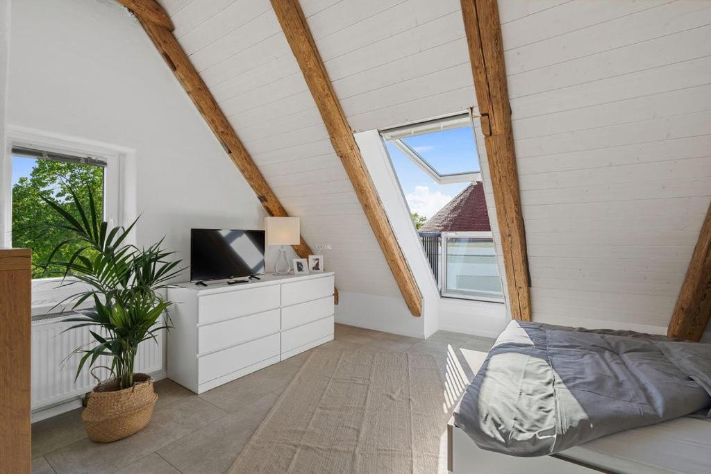 Second Home - Ferienwohnungen Fischbach FDH Eksteriør billede